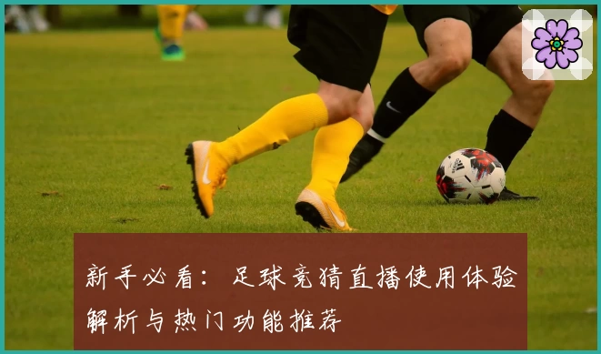 新手必看：足球竞猜直播使用体验解析与热门功能推荐